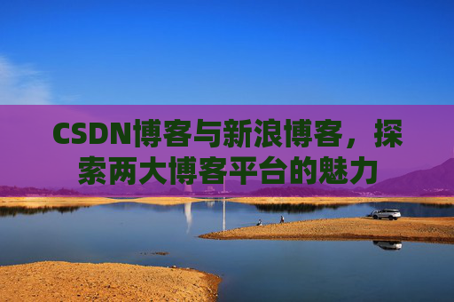 CSDN博客与新浪博客,探索两大博客平台的魅力